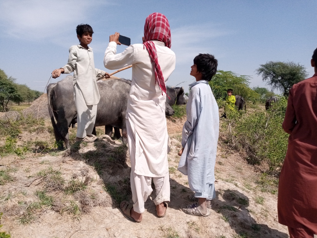 Village life in Pakistan 2022